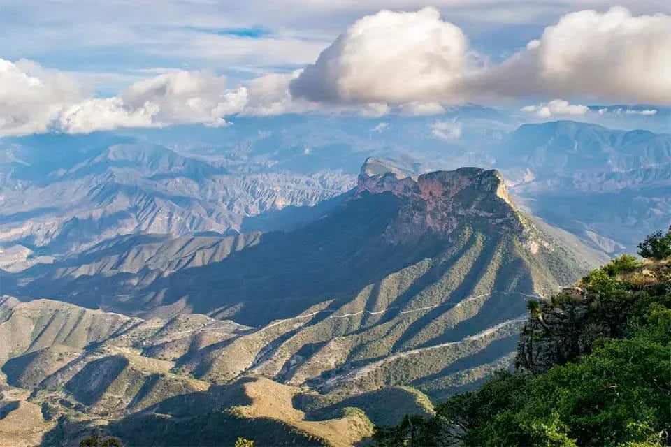 El secreto medicinal de los chichimecas